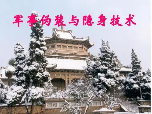 伪装与隐身技术