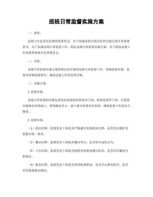 巡视日常监督实施方案