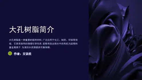 常见的大孔树脂屠鹏飞