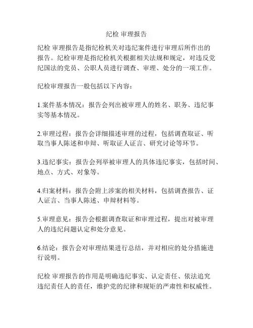 纪检 审理报告
