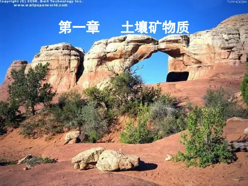 土壤矿物质