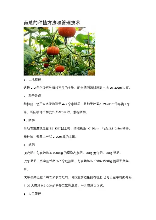 南瓜的种植方法和管理技术