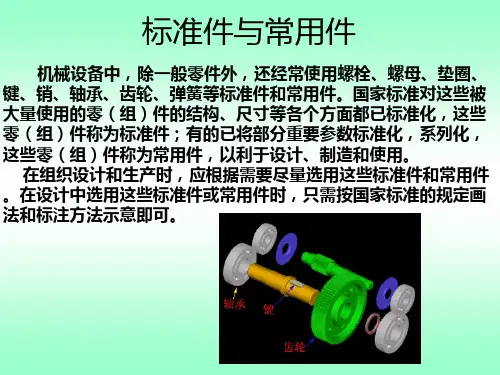 标准件与常用件的特殊表示