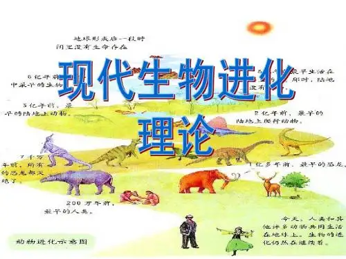 一轮复习 现代生物进化理论
