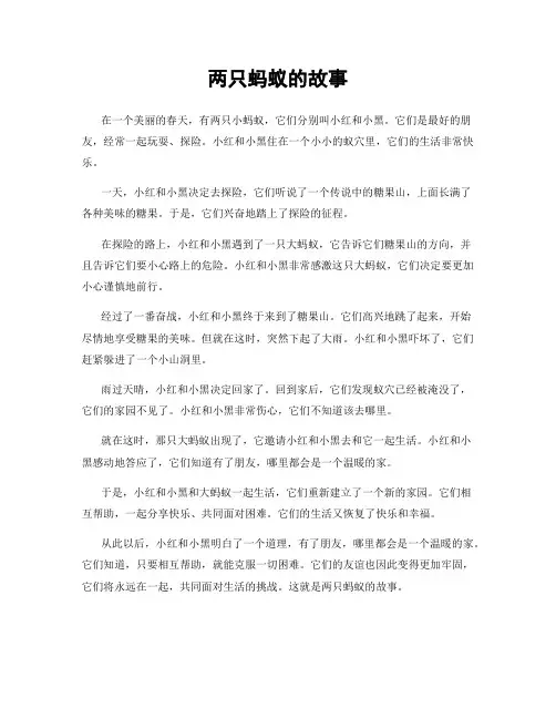 两只蚂蚁的故事