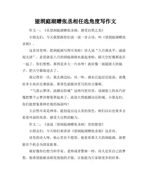 望洞庭湖赠张丞相任选角度写作文
