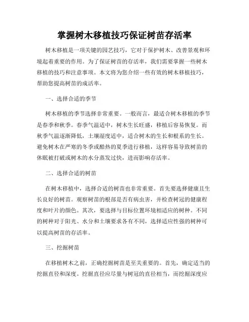 掌握树木移植技巧保证树苗存活率