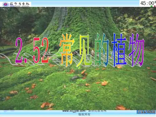 常见的植物(无种子植物)