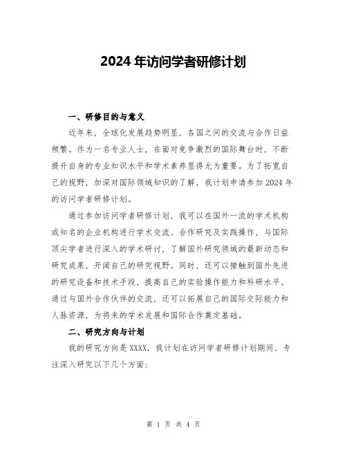2024年访问学者研修计划