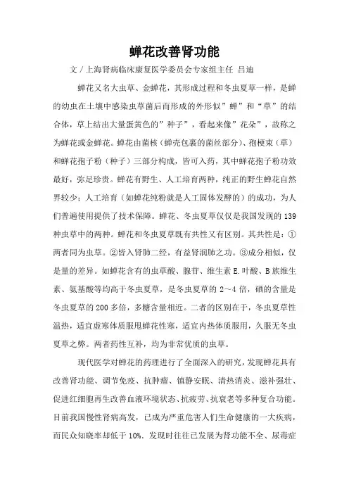 蝉花改善肾功能