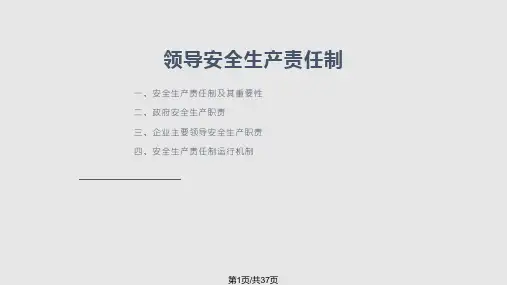 领导安全生产责任制PPT课件