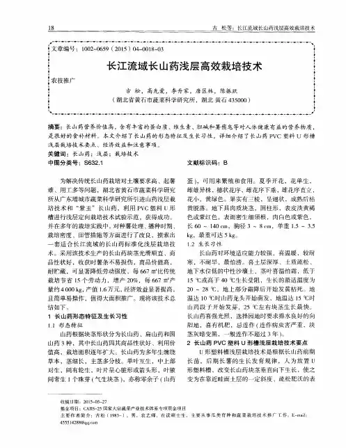 长江流域长山药浅层高效栽培技术