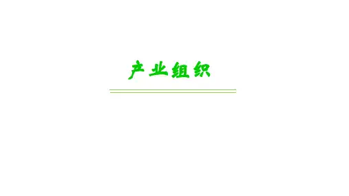 产业经济学之产业组织