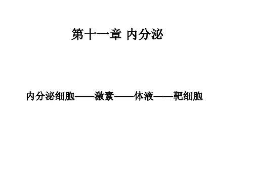 生理学内分泌总结