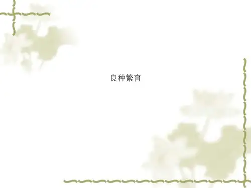良种繁育