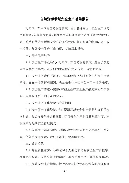 自然资源领域安全生产总结报告