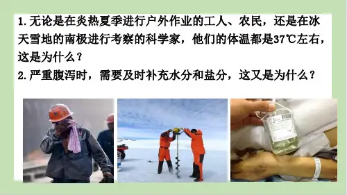 生物人教版(2019)选择性必修1 1.1细胞生活的环境(共35张ppt)