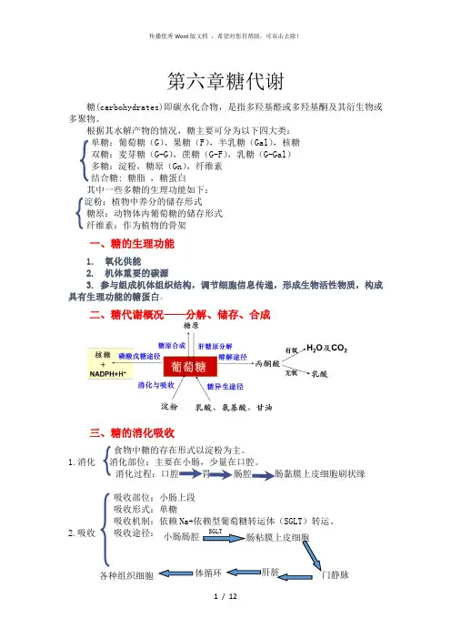 生物化学糖代谢知识点总结