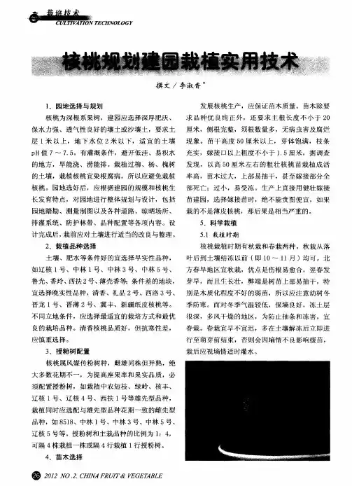 核桃规划建园栽植实用技术