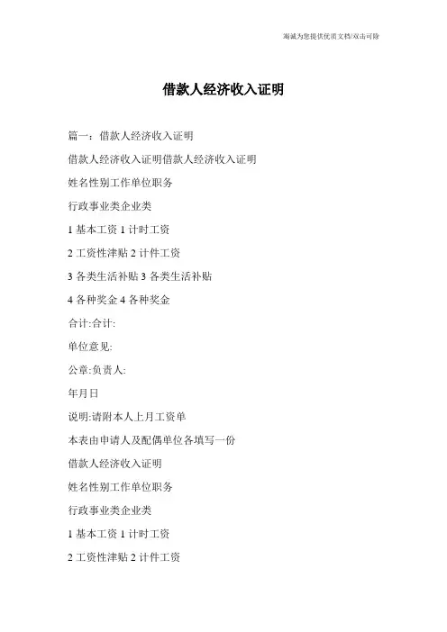 借款人经济收入证明