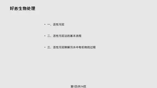 好氧工艺与厌氧工艺的比较