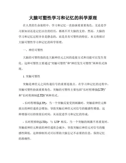大脑可塑性学习和记忆的科学原理