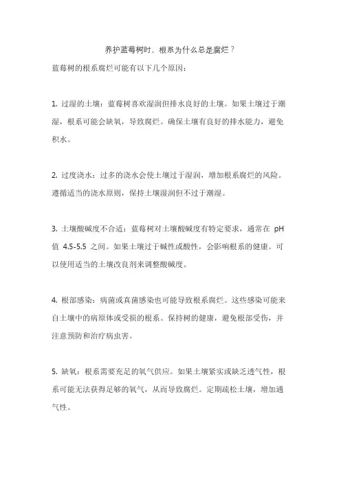养护蓝莓树时,根系为什么总是腐烂？