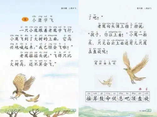 小鹰学飞第一课时 ppt