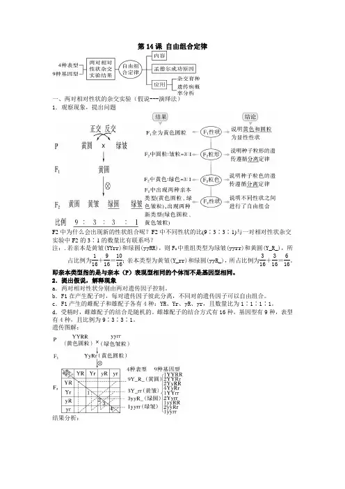 新人教版一轮复习 自由组合定律知识点