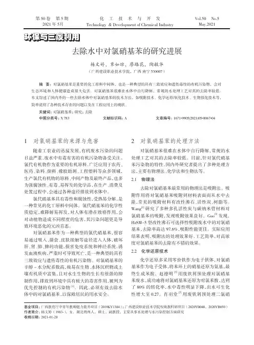 去除水中对氯硝基苯的研究进展