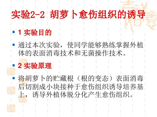 实验2-3 胡萝卜愈伤组织继代培养基的配制