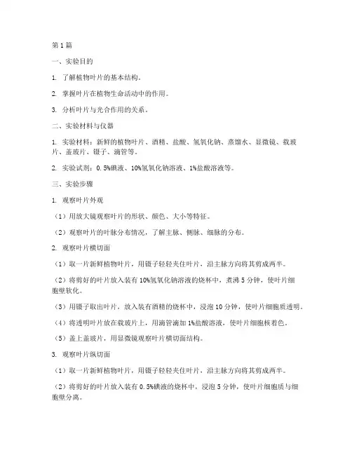 实验报告植物的叶(3篇)