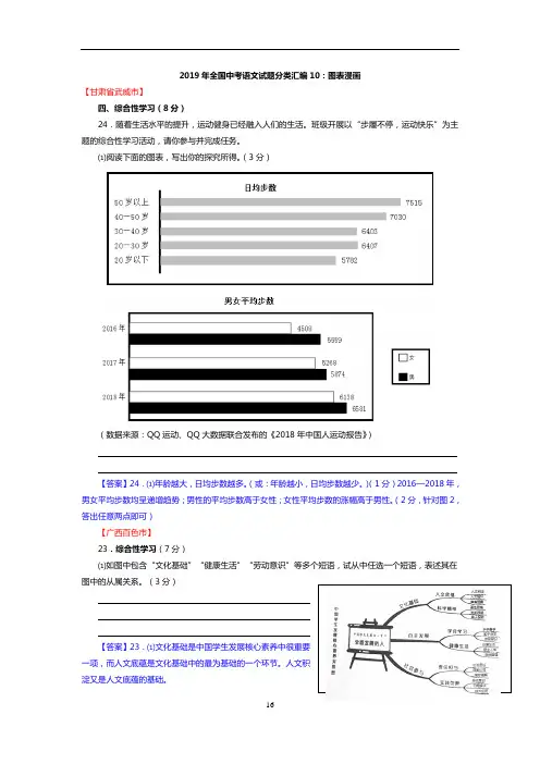 2019年全国中考语文试题分类汇编10：图表漫画