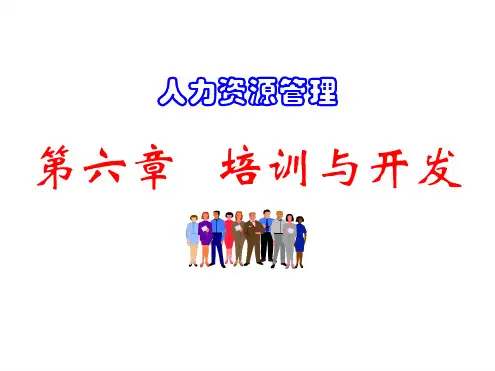 培训与开发