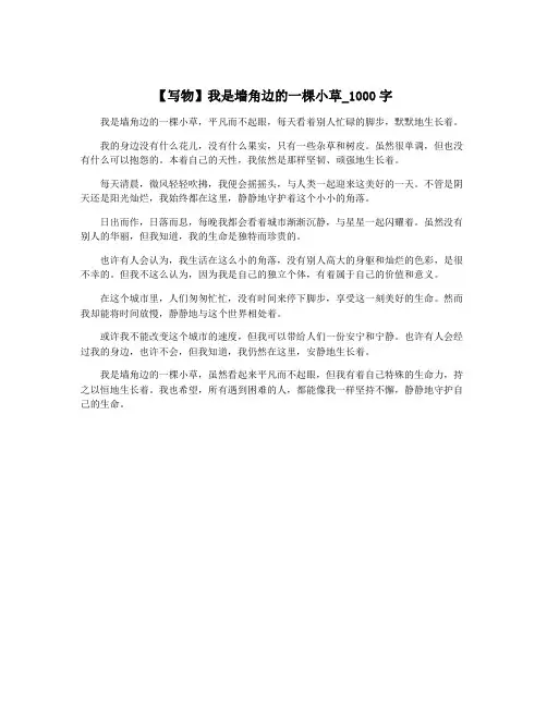 【写物】我是墙角边的一棵小草_1000字