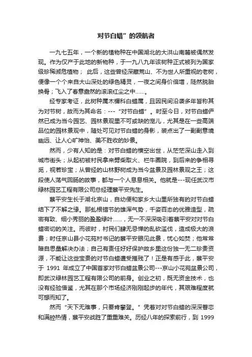 对节白蜡”的领航者