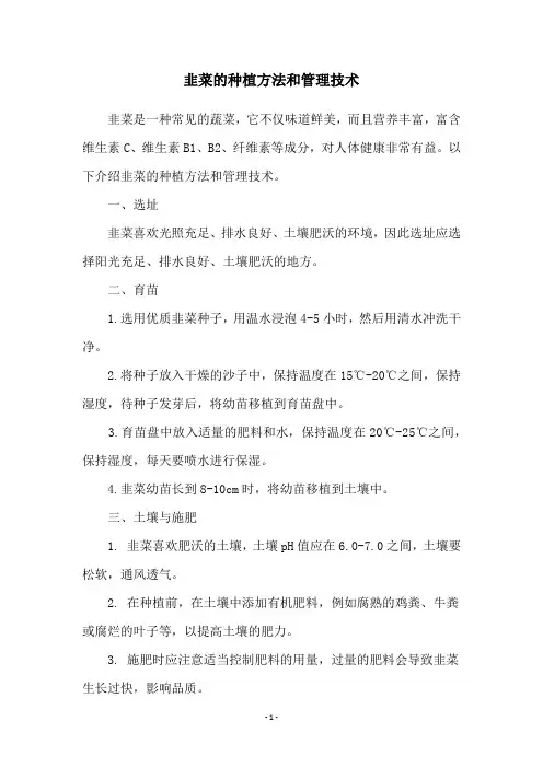 韭菜的种植方法和管理技术