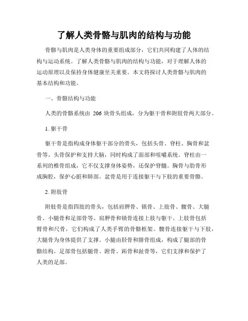 了解人类骨骼与肌肉的结构与功能