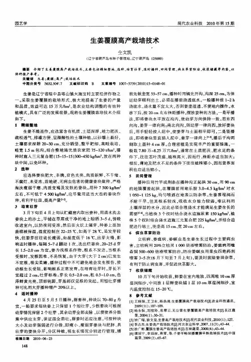 生姜覆膜高产栽培技术