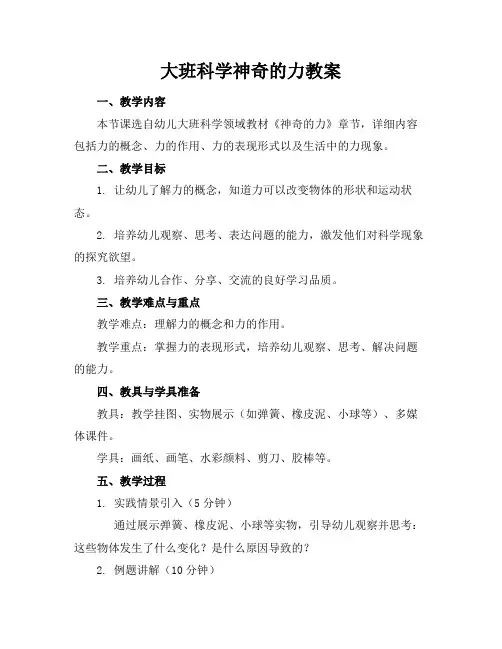 大班科学神奇的力教案