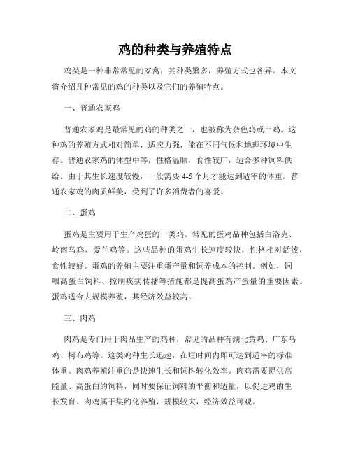 鸡的种类与养殖特点