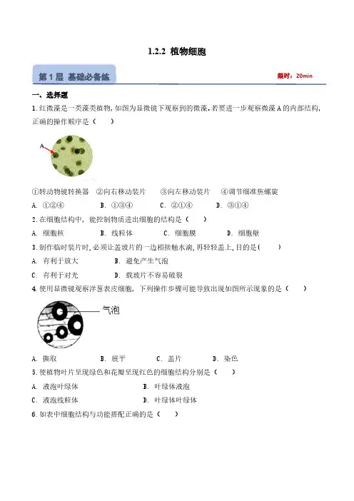1.2.2 植物细胞(分层作业)(学生版) 七年级生物上册同步高效课堂(人教版2024)
