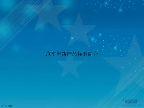 汽车电线产品标准简介讲课文档
