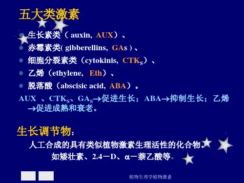 植物生理学植物激素课件
