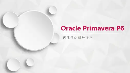 P6进度计划编制培训(PPT)