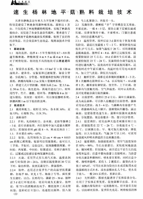 速生杨林地平菇熟料栽培技术