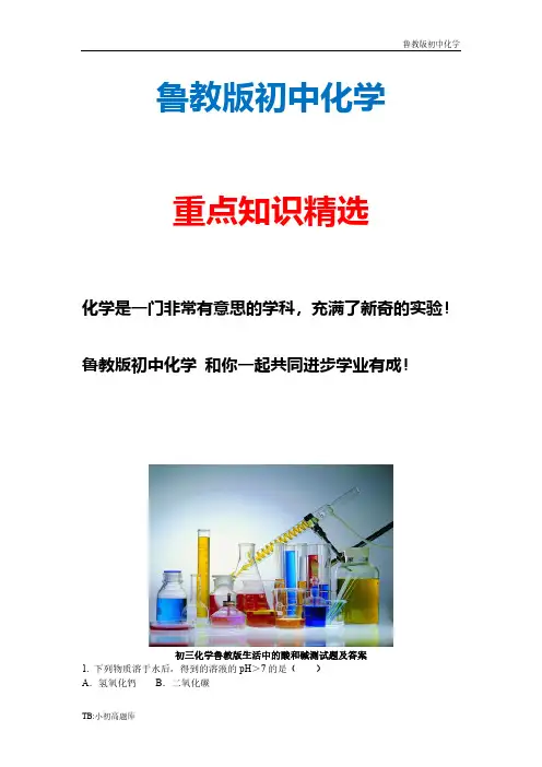 新版鲁教版初中化学九年级上册 《生活中的酸和碱》同步练习2