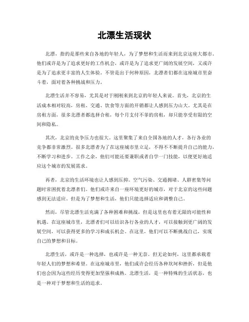 北漂生活现状