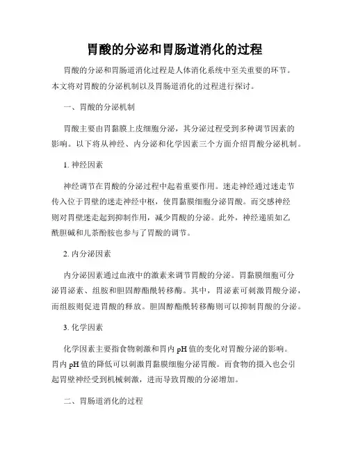 胃酸的分泌和胃肠道消化的过程