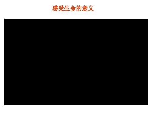 部编版 政治 七年级上册10.1 感受生命的意义